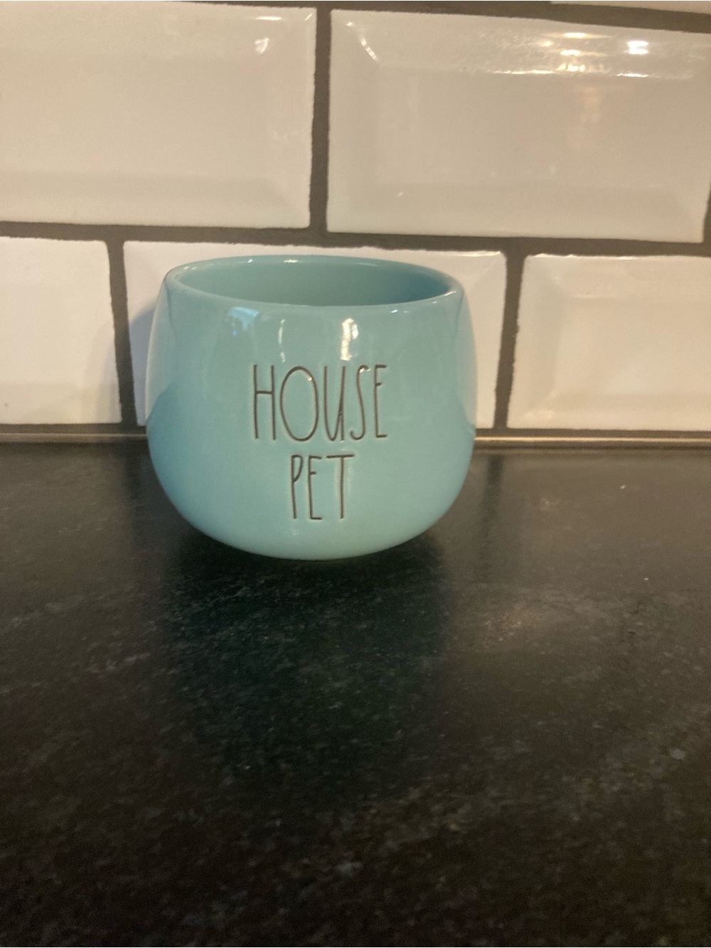 Rae Dunn Aqua Ceramic Bowl with Black Logo